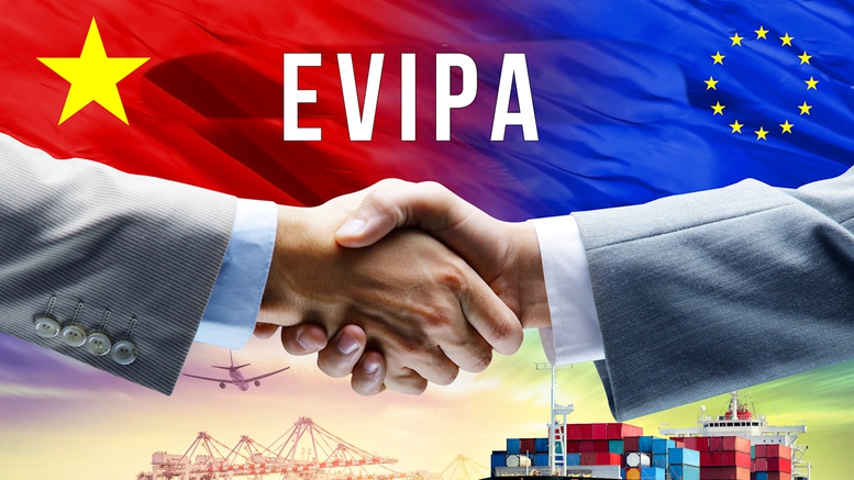 Từ quyết định của Đức: Lá phiếu niềm tin cho Việt Nam- Ảnh 1.