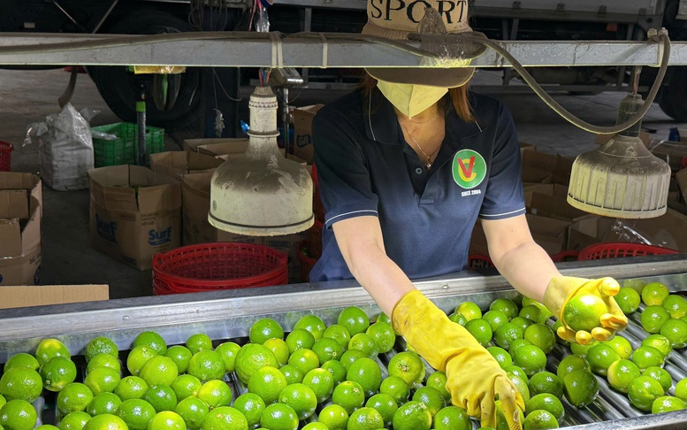 Xuất khẩu rau quả năm 2025 đạt kỷ lục 8,5 tỷ USD, cao nhất từ trước đến nay