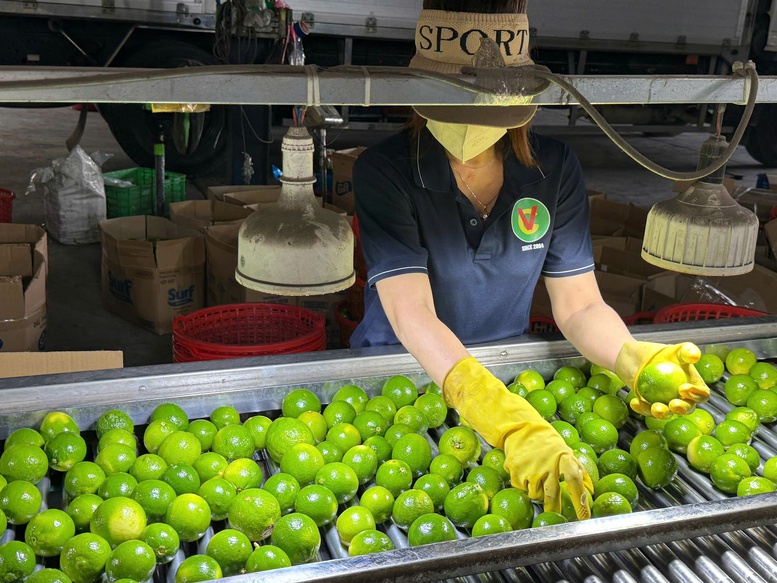 Xuất khẩu rau quả năm 2025 đạt kỷ lục 8,5 tỷ USD, cao nhất từ trước đến nay- Ảnh 1.