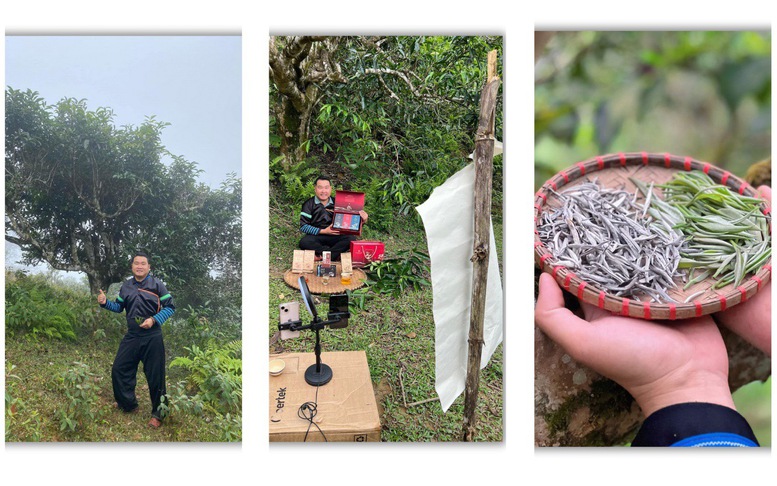 Người kể câu chuyện Phình Hồ bằng trà, mây và công nghệ