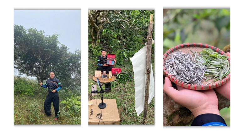 Người kể câu chuyện Phình Hồ bằng trà, mây và công nghệ- Ảnh 1. Người kể câu chuyện Phình Hồ bằng trà, mây và công nghệ- Ảnh 1.