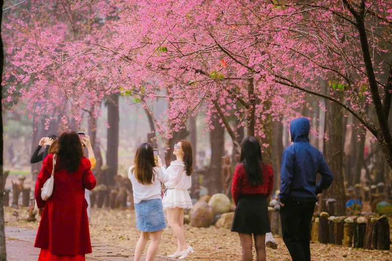 Rộn ràng chuỗi lễ hội chào năm mới 2026 tại miền Trung- Ảnh 2.