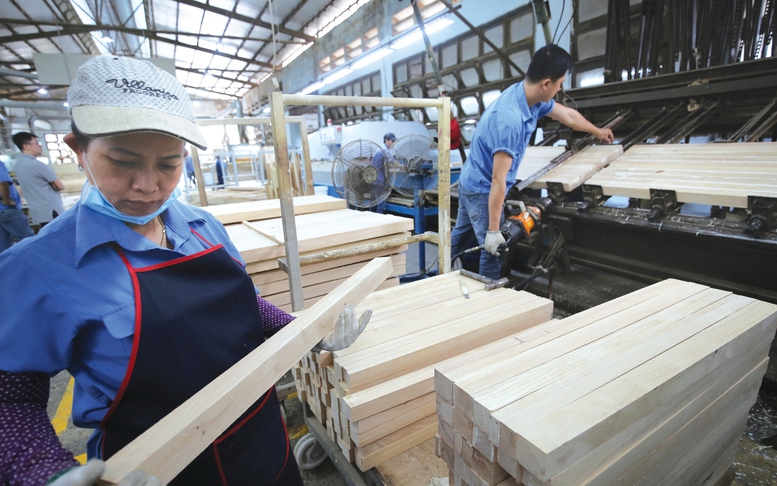 Ngành lâm nghiệp 2025: Vượt khó, giữ rừng, tăng trưởng cao