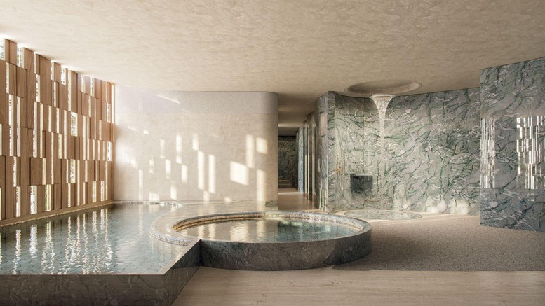 Vì sao giới thượng lưu ngày càng ưu tiên các trung tâm wellness chuyên sâu?- Ảnh 3.