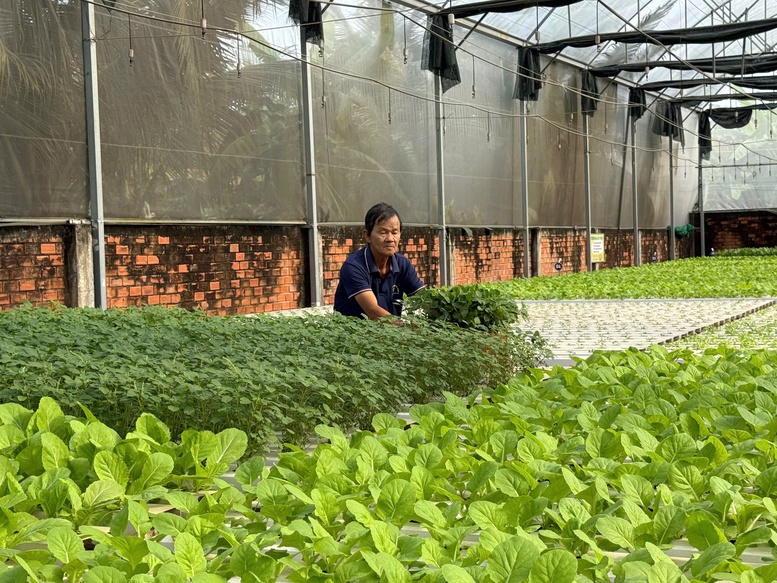 Công nghệ tưới tiết kiệm nước giải phóng sức lao động cho nông dân- Ảnh 1.