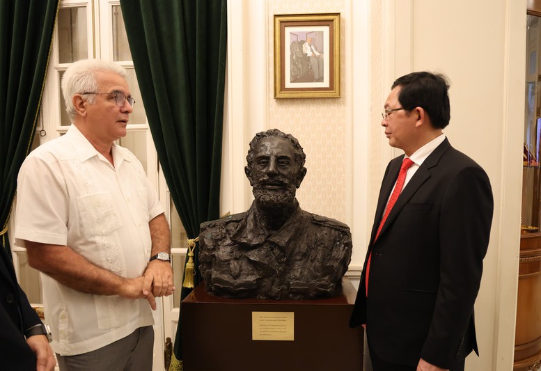 Phó Thủ tướng Hồ Quốc Dũng dâng hoa tưởng niệm Chủ tịch Hồ Chí Minh tại Thủ đô La Habana- Ảnh 8.