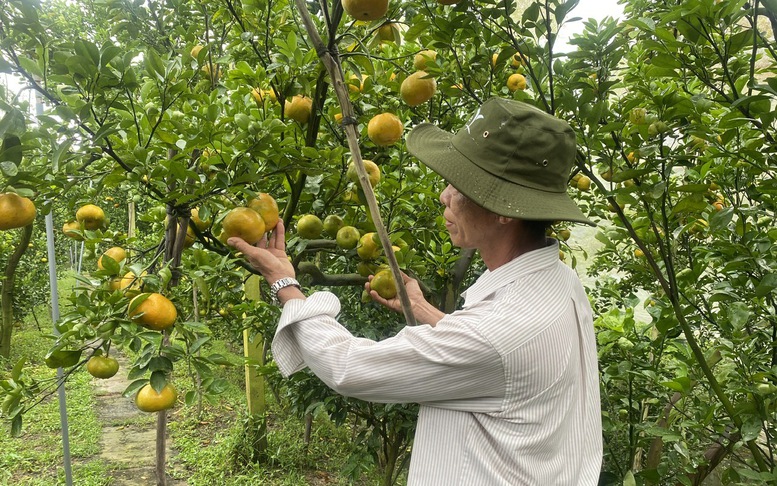 11 tháng, xuất khẩu nông, lâm, thủy sản vượt kỷ lục năm 2024