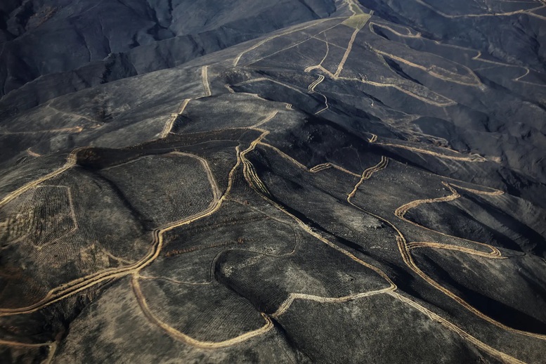 Thế giới 2025 qua ống kính toàn cầu- Ảnh 11.