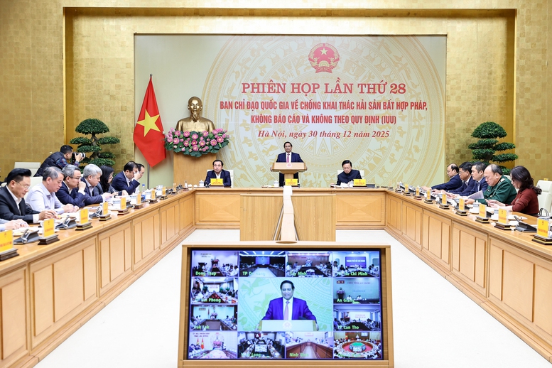 Thủ tướng: Trong tuần tới, xử lý dứt điểm các nhiệm vụ được giao trong chống khai thác IUU- Ảnh 1.