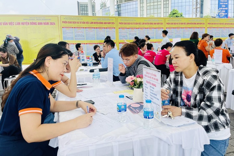 Điều kiện thành lập, tổ chức và hoạt động của tổ chức dịch vụ việc làm công- Ảnh 1.