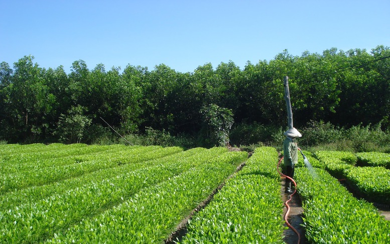 Vượt khó, ngành nông nghiệp hướng tới mục tiêu xuất khẩu 70 tỷ USD