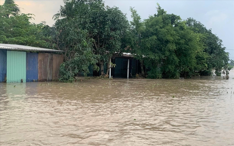 ADB hỗ trợ 2 triệu USD giúp Việt Nam khắc phục hậu quả mưa lũ