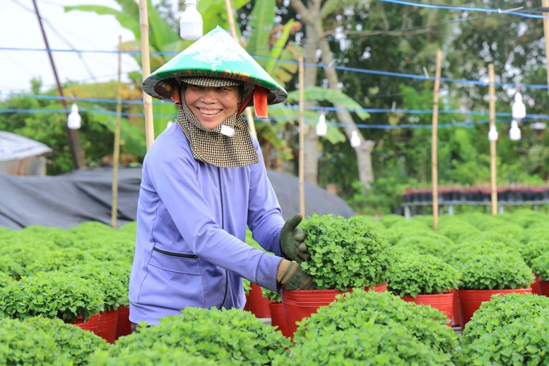 Festival Hoa – Kiểng Sa Đéc 2025: 'Sắc hoa ngày mới' hứa hẹn mùa lễ hội bùng nổ- Ảnh 3.