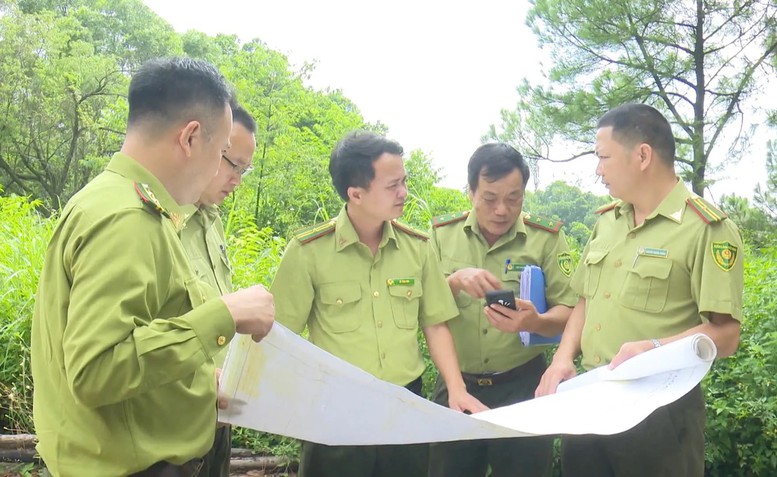 Quỹ Bảo vệ và Phát triển rừng Hà Nội: Trụ cột tài chính cho nhiệm vụ bảo vệ môi trường rừng- Ảnh 2.