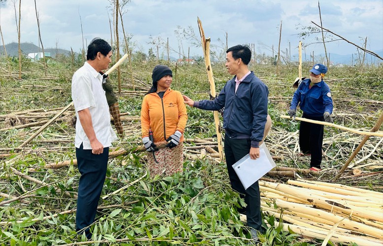 Ngân hàng Chính sách xã hội các tỉnh tiếp sức để người dân tái sản xuất sau bão, lũ- Ảnh 2. Ngân hàng Chính sách xã hội các tỉnh tiếp sức để người dân tái sản xuất sau bão, lũ- Ảnh 2.