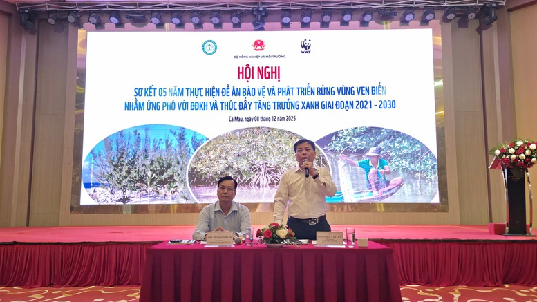 Hiệu quả từ các dự án bảo vệ và phát triển rừng ven biển- Ảnh 1.