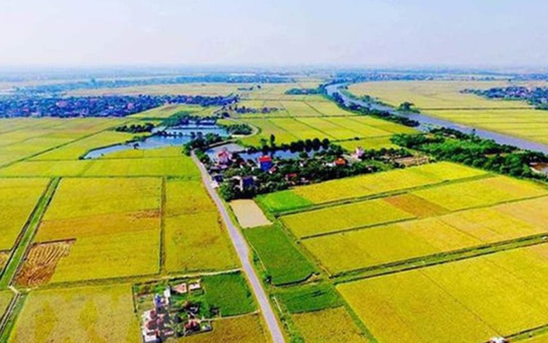 Tính tiền sử dụng đất khi chuyển từ đất nông nghiệp sang đất ở