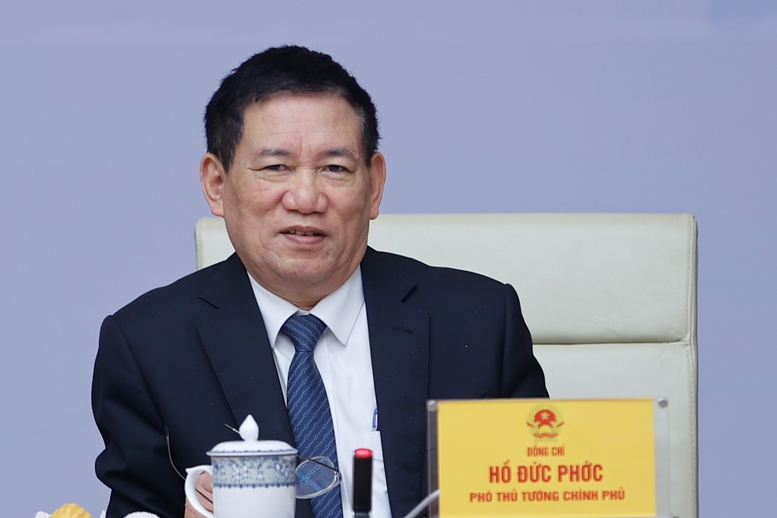 Deputy Prime Minister Ho Duc Phoc speaks at the Conference