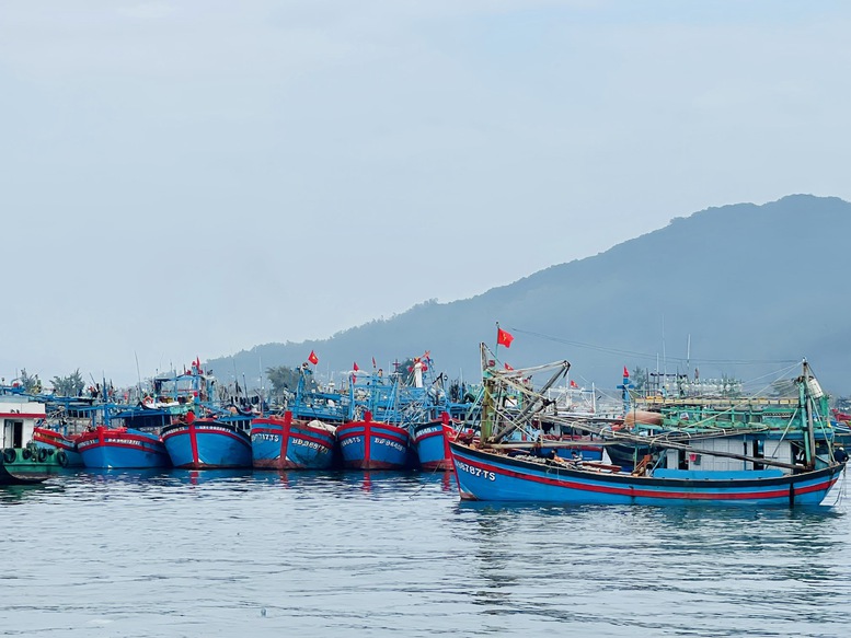 Miền Trung: Ngư dân rộn ràng vươn khơi đánh bắt đầu năm- Ảnh 1.