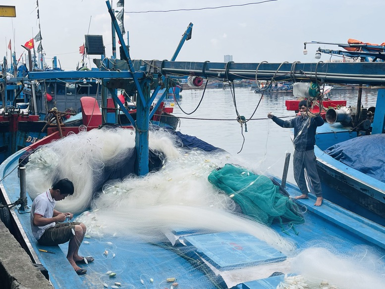 Miền Trung: Ngư dân rộn ràng vươn khơi đánh bắt đầu năm- Ảnh 2.