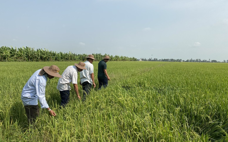 Xuất khẩu nông sản: Cần tìm động lực tăng trưởng bền vững