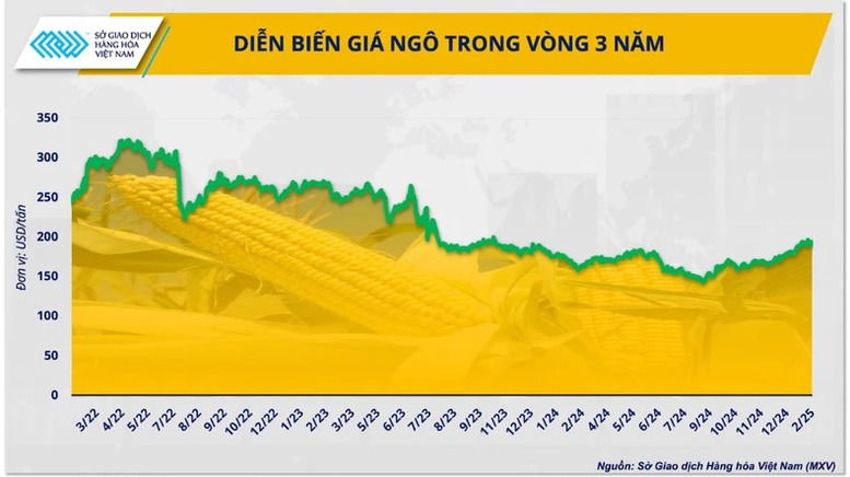 Thị trường ngô thế giới năm 2025: Thách thức ‘mang theo’ cơ hội- Ảnh 1.