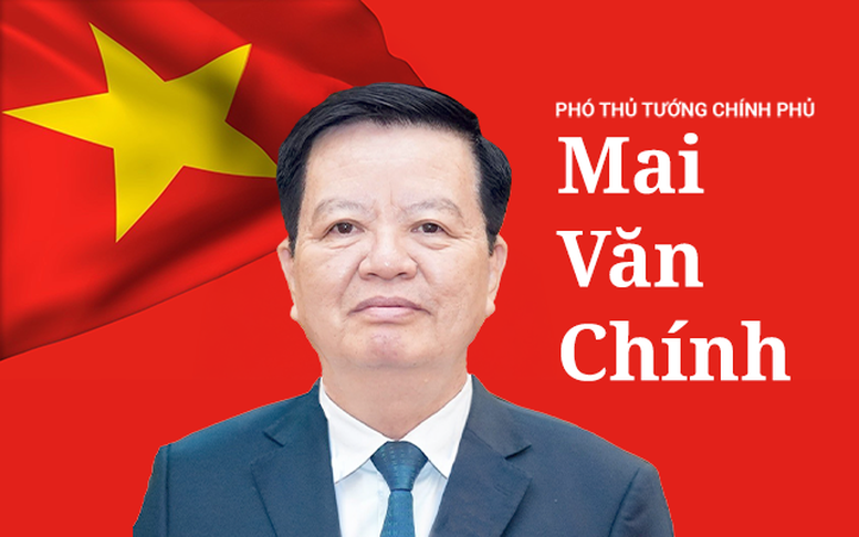 INFOGRAPHICS: Tóm tắt tiểu sử Tân Phó Thủ tướng Chính phủ Mai Văn Chính