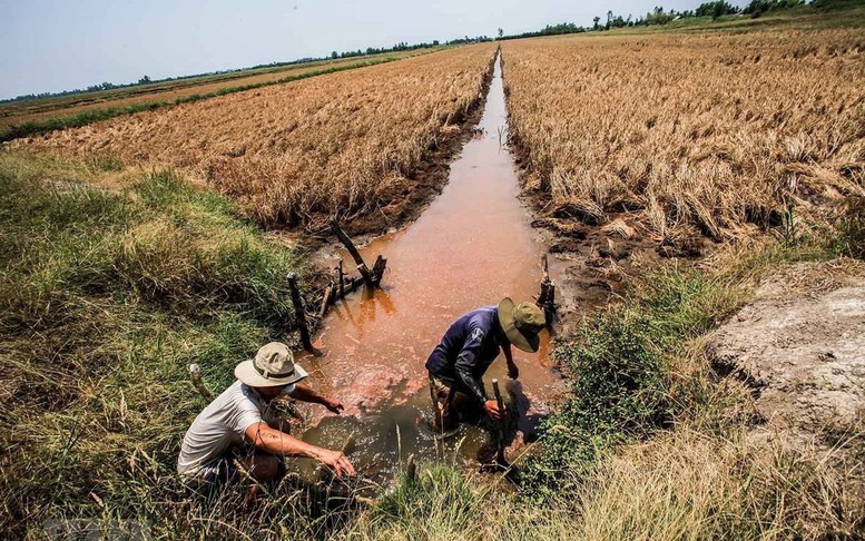 Ứng phó xâm nhập mặn cao điểm ở ĐBSCL