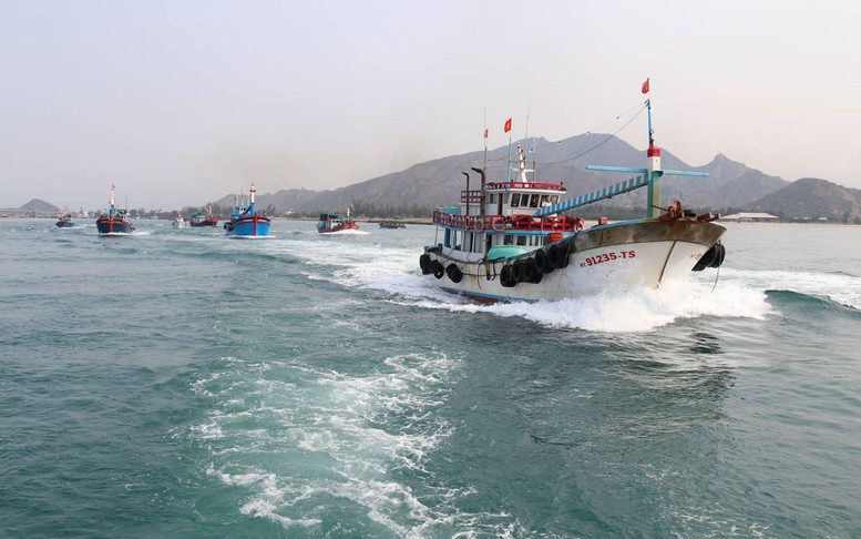 Gỡ 'thẻ vàng' EC: Hành động thay vì đối phó