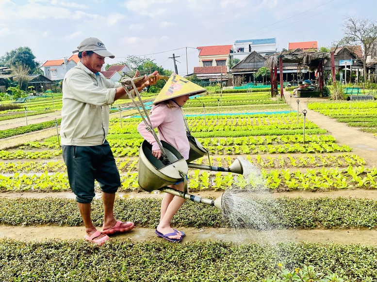 Làng rau Trà Quế đón nhận danh hiệu 'Làng du lịch tốt nhất năm 2024'- Ảnh 3.