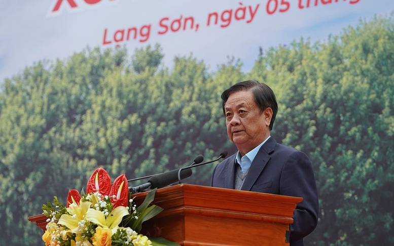 Trồng cây cho tương lai