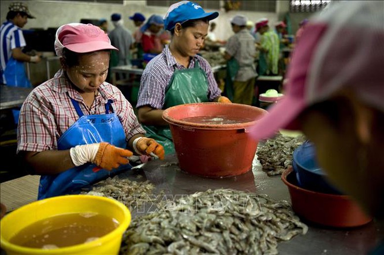 Thái Lan gia hạn giấy phép cho lao động nhập cư từ Việt Nam và 3 nước Đông Nam Á