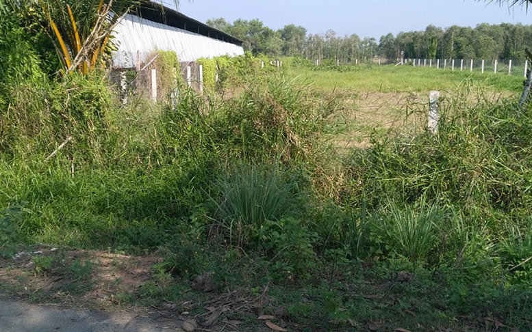 Có cấp Giấy chứng nhận cho đất sử dụng sai mục đích?