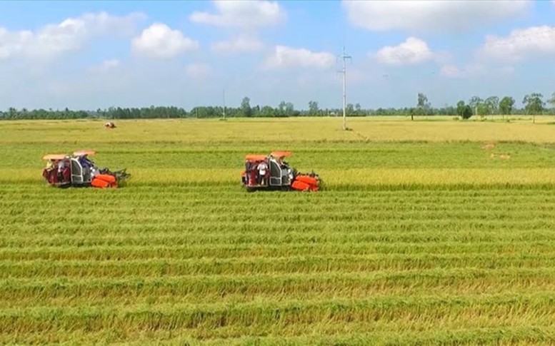 Quy định về hỗ trợ khi thu hồi đất nông nghiệp