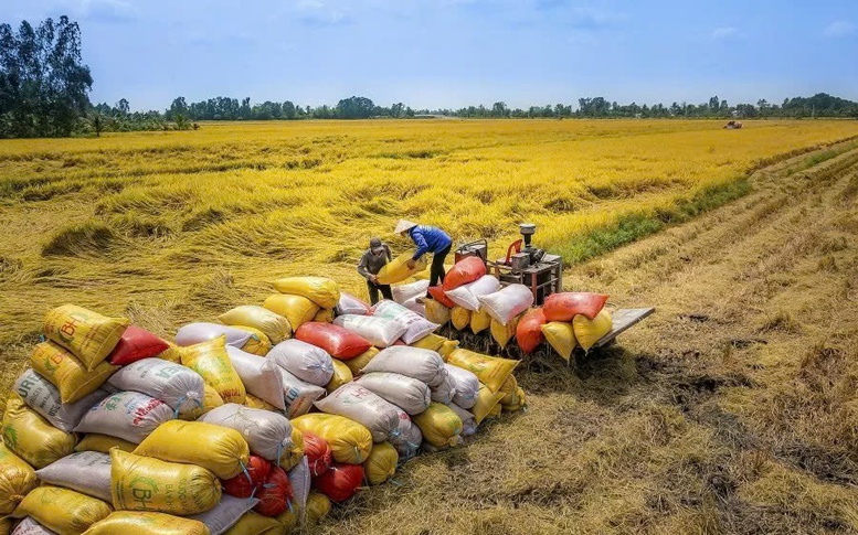 Thành lập đoàn kiểm tra liên ngành về xuất khẩu gạo