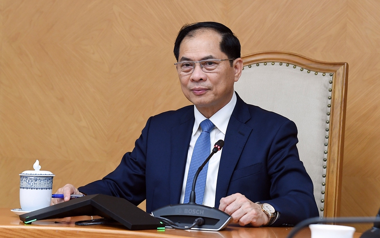 Phó Thủ tướng, Bộ trưởng Ngoại giao Bùi Thanh Sơn điện đàm với Bộ trưởng Ngoại giao Thổ Nhĩ Kỳ