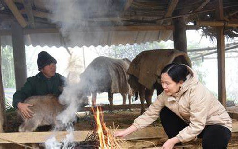 Ứng phó với rét đậm, rét hại và gió mạnh trên biển