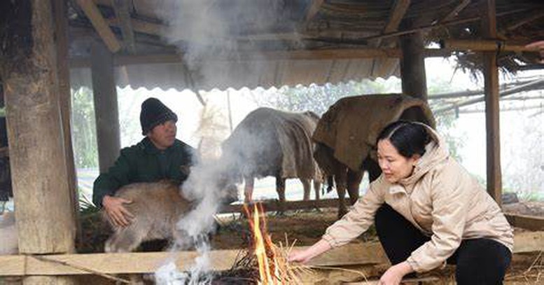 Ứng phó với rét đậm, rét hại và gió mạnh trên biển- Ảnh 1.