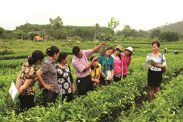 Bồi dưỡng cán bộ Hội Nông dân các cấp và nông dân sản xuất kinh doanh giỏi- Ảnh 1.