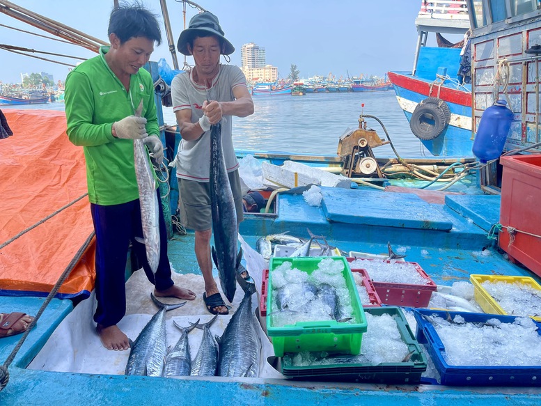 Đà Nẵng cơ bản khắc phục các tồn tại trong chống khai thác IUU- Ảnh 1.