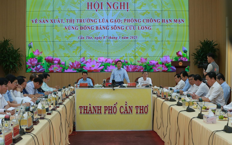 Phó Thủ tướng Trần Hồng Hà: Đánh giá đúng thực trạng tình hình thị trường lúa gạo- Ảnh 2.