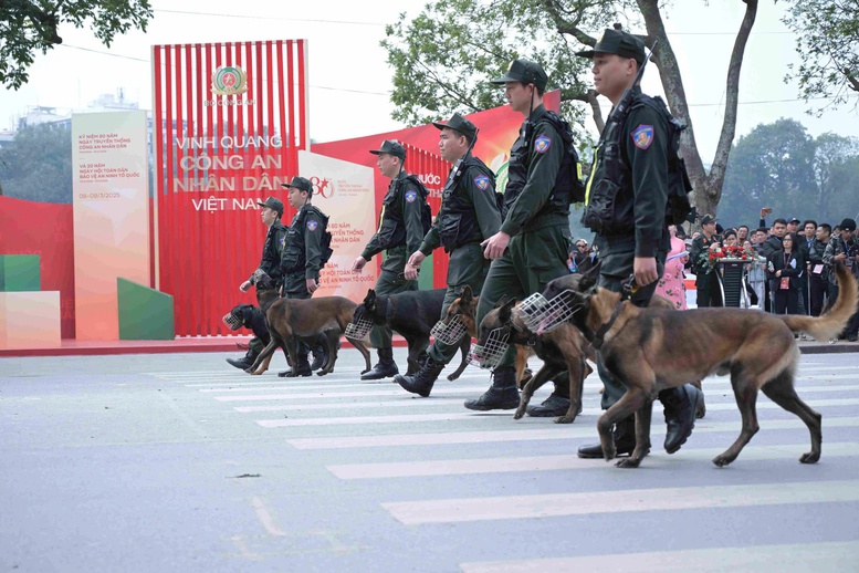 Sôi nổi các màn biểu diễn kỵ binh, cảnh khuyển trên đường phố Hà Nội- Ảnh 12.