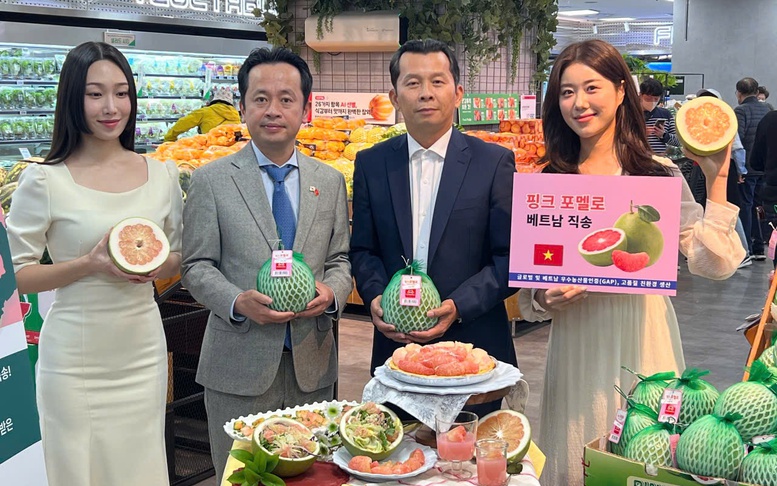 Trái bưởi Việt Nam chính thức có mặt trên kệ hàng Lotte Mart Hàn Quốc