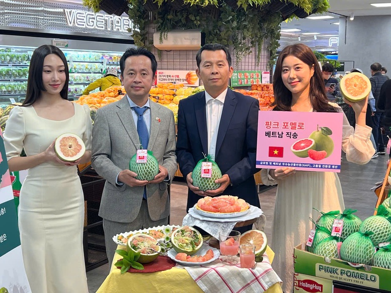 Trái bưởi Việt Nam chính thức có mặt trên kệ hàng Lotte Mart Hàn Quốc
- Ảnh 1.