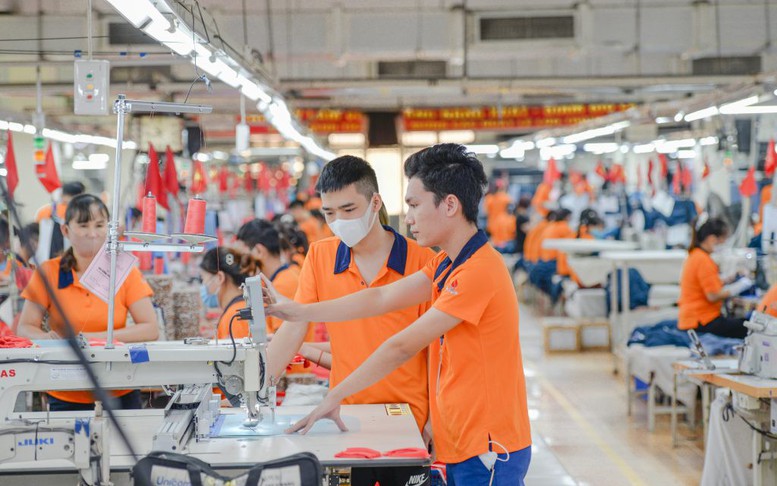 Tăng cường quản lý nguyên liệu đầu vào, ngăn chặn gian lận xuất xứ