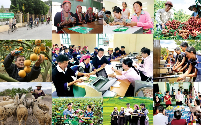 Ngân hàng Chính sách xã hội cần tập trung huy động, đa dạng hóa nguồn vốn