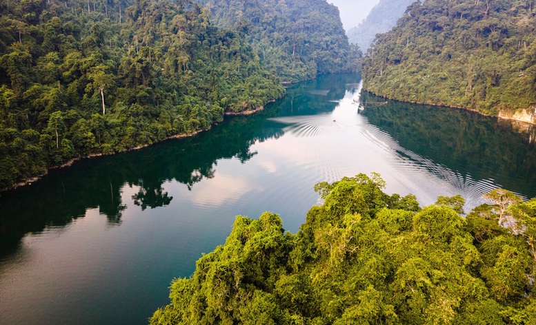 Phê duyệt Nhiệm vụ lập Quy hoạch tu bổ, phục hồi Khu bảo tồn thiên nhiên Na Hang - Lâm Bình- Ảnh 1.