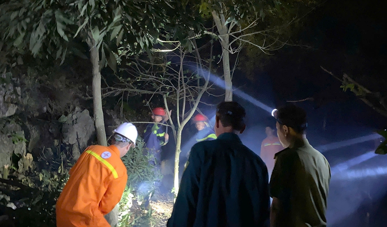 Cháy rừng tại Kim Bảng (Hà Nam) không ảnh hưởng đến hệ thống truyền tải điện quốc gia- Ảnh 4.