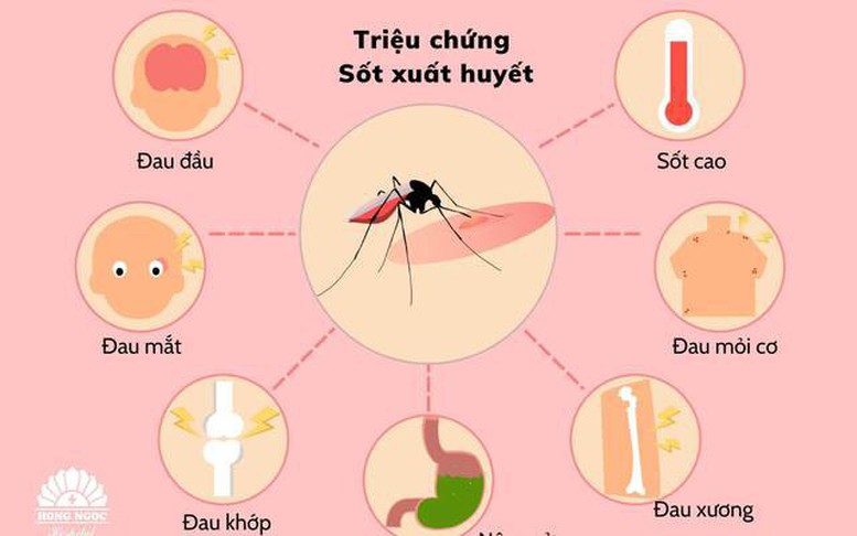 Sốt xuất huyết trên thế giới gia tăng
