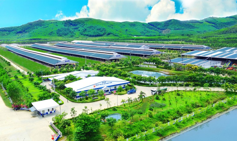 Phát huy nội lực để xây dựng thành công thương hiệu Việt - Câu chuyện Vinamilk- Ảnh 2.